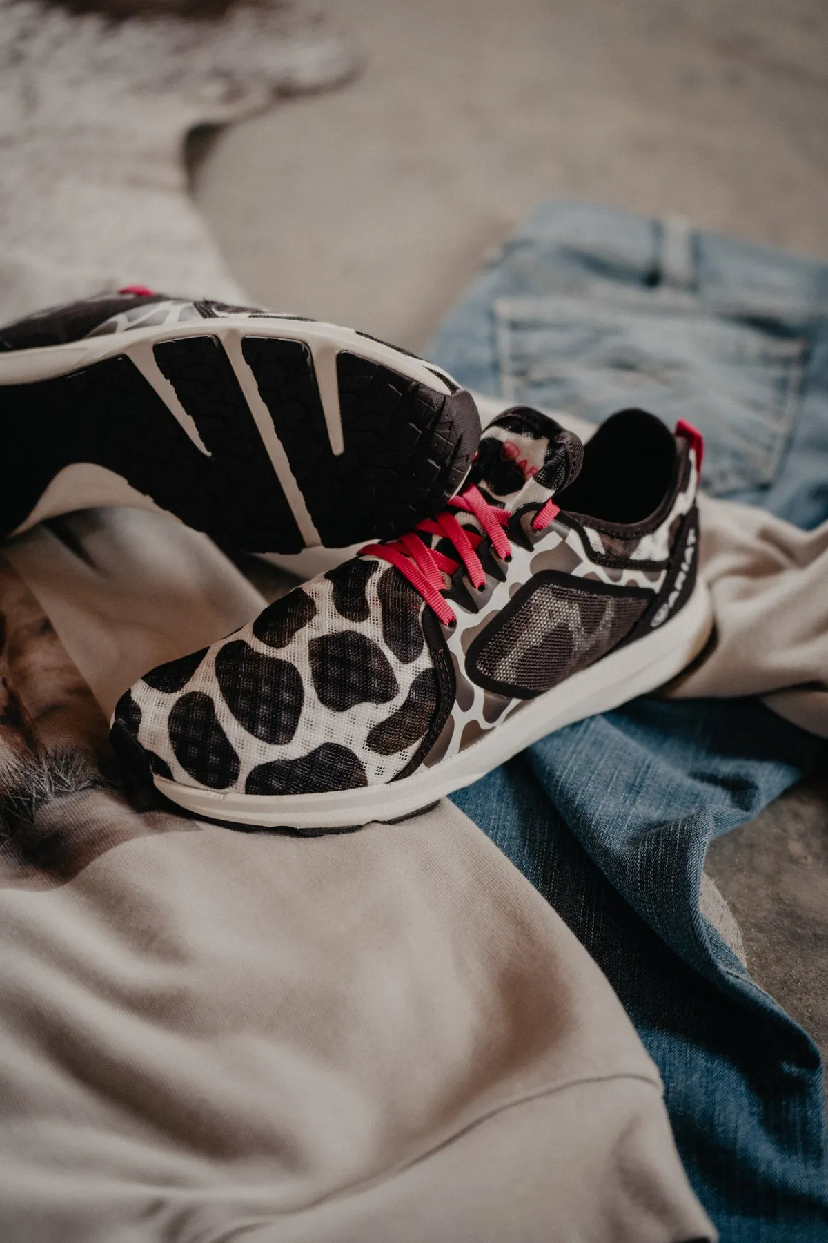 Ariat Cowprint Athletic Trainer Shoe (Sizes 6, 6.5, 7.5 ONLY)