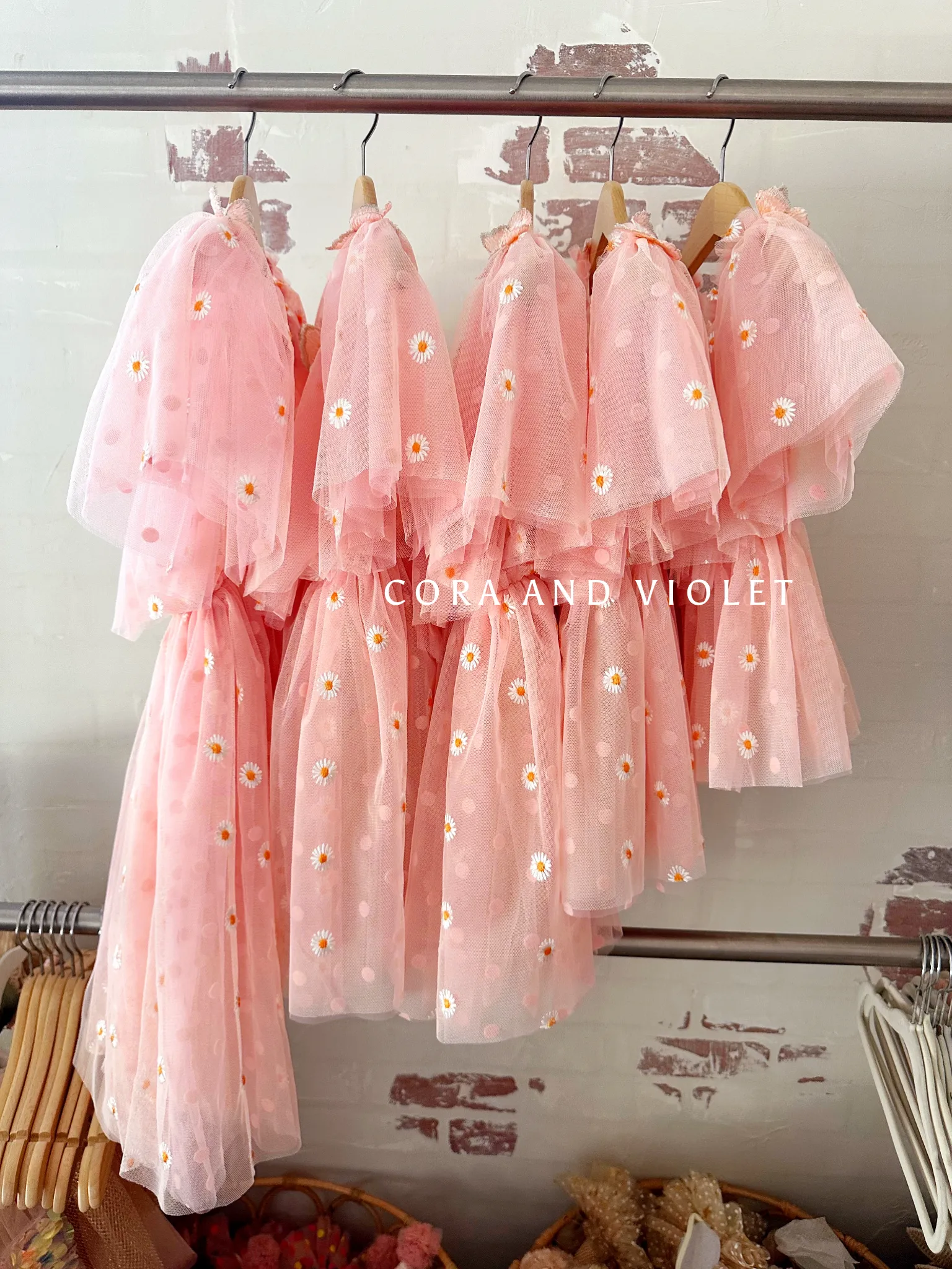 Bluey Birthday dress-EXPRESS