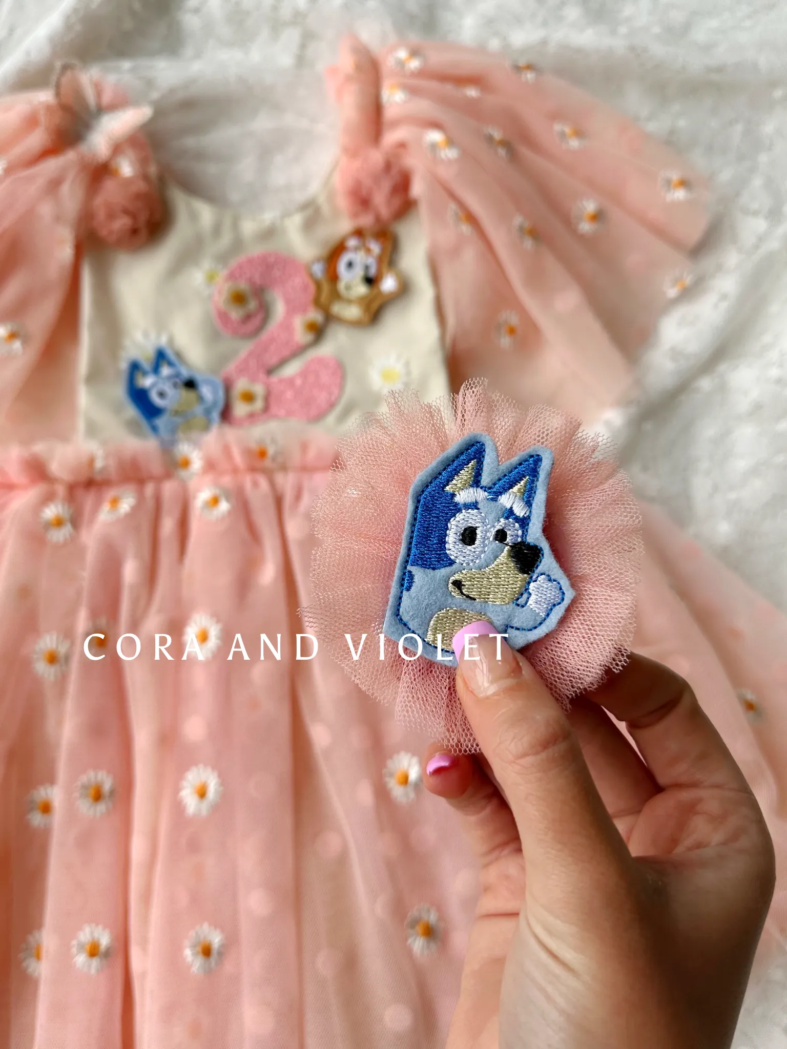 Bluey Birthday dress-EXPRESS