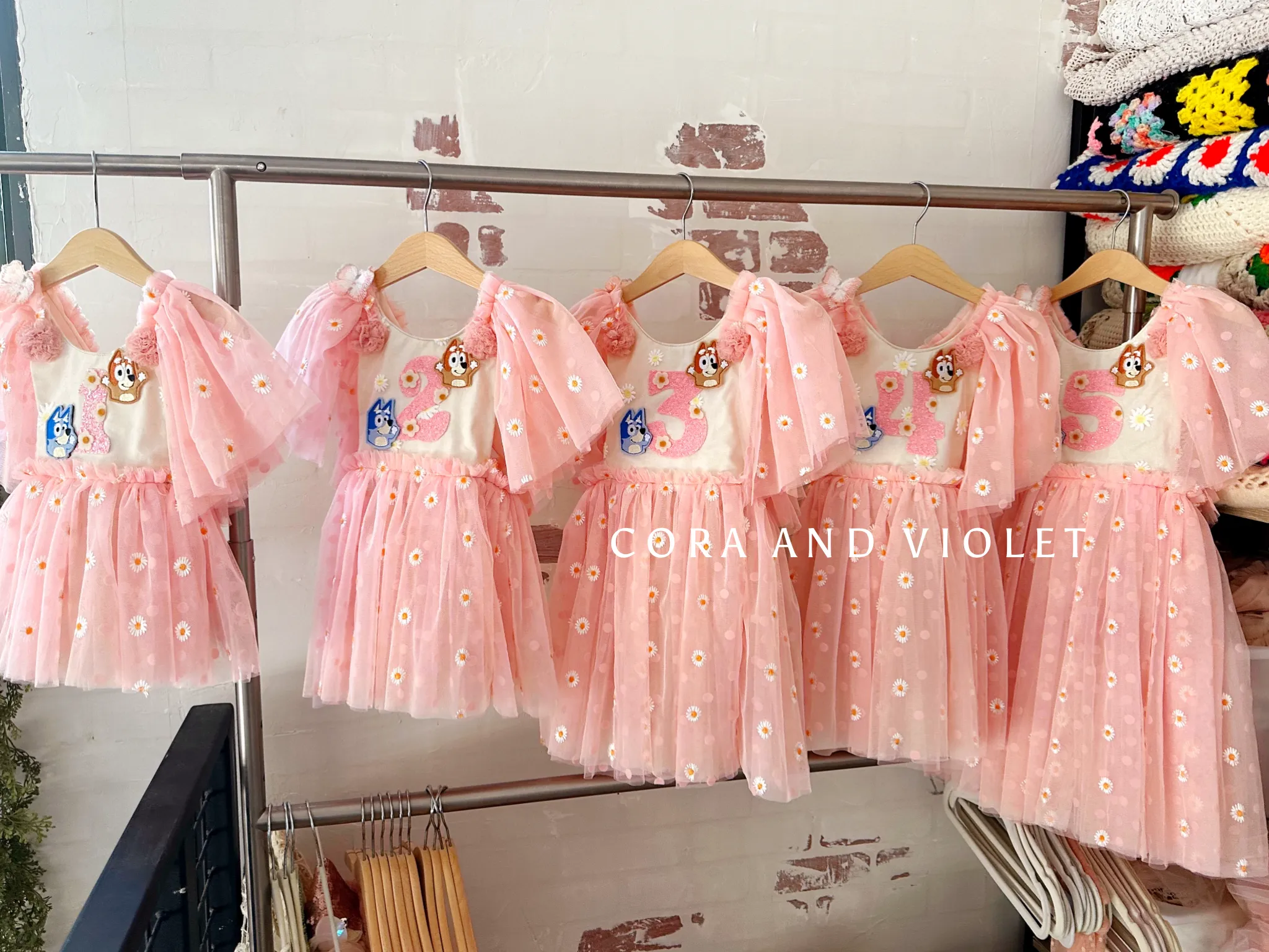 Bluey Birthday dress-EXPRESS