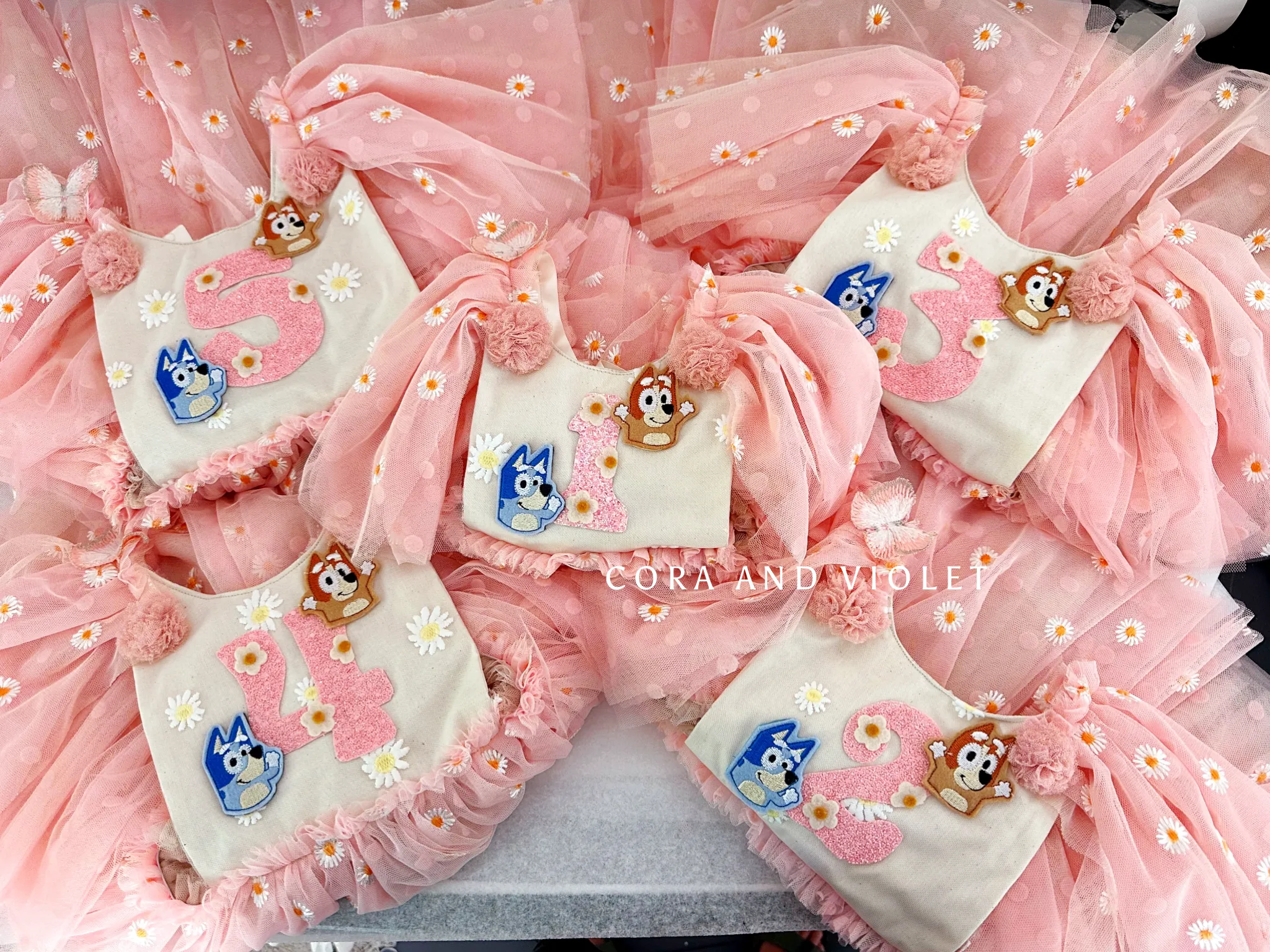 Bluey Birthday dress-EXPRESS