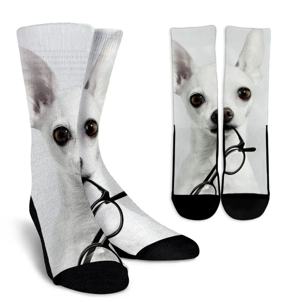 Chihuahua Socks