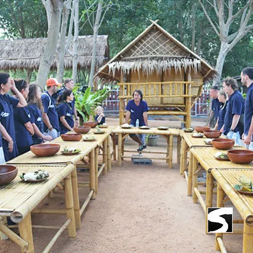 Feeding Activity Elephant Shelter Koh Samui - Last Minute Cruise Ship Guests