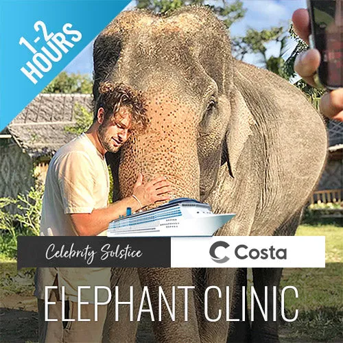 Feeding Activity Elephant Shelter Koh Samui - Last Minute Cruise Ship Guests