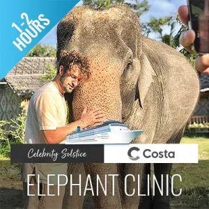 Feeding Activity Elephant Shelter Koh Samui - Last Minute Cruise Ship Guests