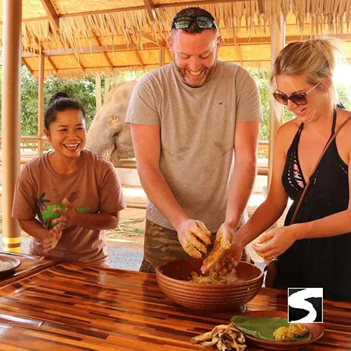 Feeding Activity Elephant Shelter Koh Samui - Last Minute Cruise Ship Guests
