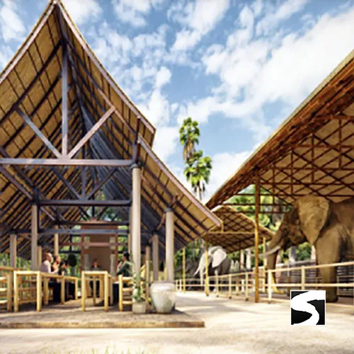 Feeding Activity Elephant Shelter Koh Samui - Last Minute Cruise Ship Guests