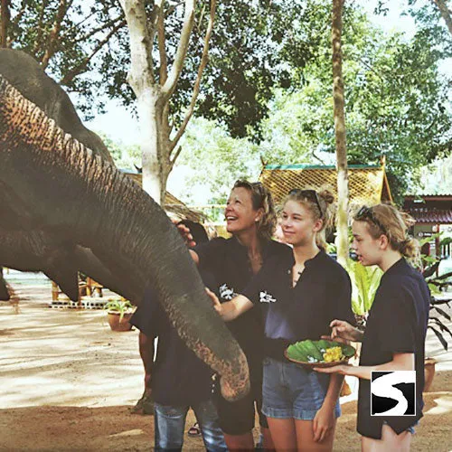 Feeding Activity Elephant Shelter Koh Samui - Last Minute Cruise Ship Guests