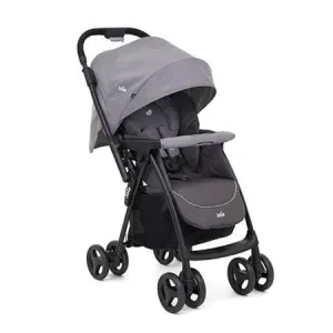 Meet Mirus Stroller