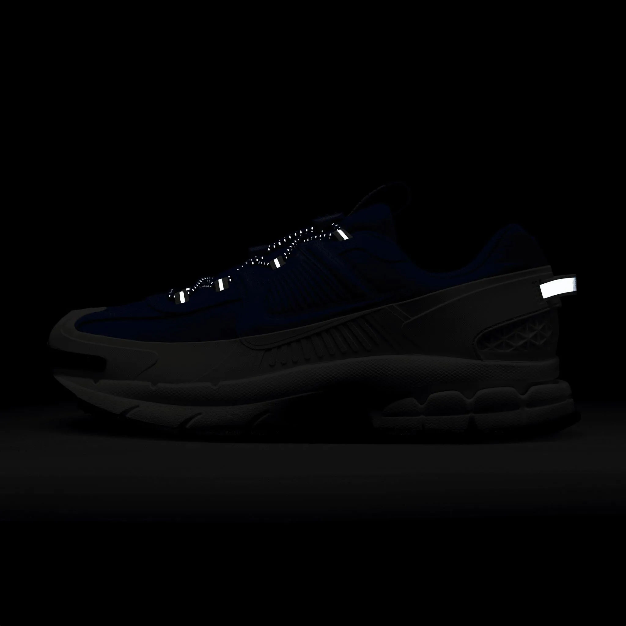 Nike Zoom Vomero Roam Racer Blue/Racer Blue-Summit White-Black FV2295-400