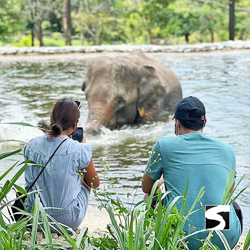 Round-Trip Transfer Elephant Kingdom 400m Skywalk Animal Shelter