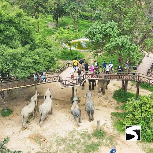 Round-Trip Transfer Elephant Kingdom 400m Skywalk Animal Shelter