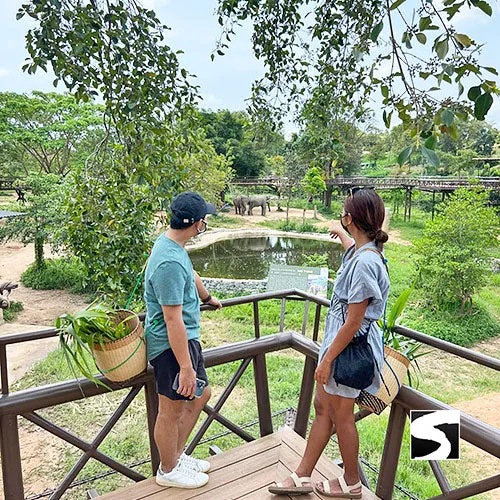 Round-Trip Transfer Elephant Kingdom 400m Skywalk Animal Shelter