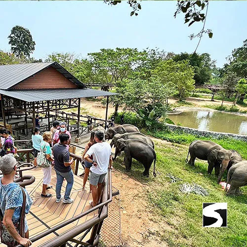 Round-Trip Transfer Elephant Kingdom 400m Skywalk Animal Shelter