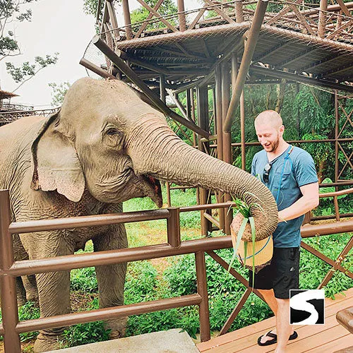 Round-Trip Transfer Elephant Kingdom 400m Skywalk Animal Shelter
