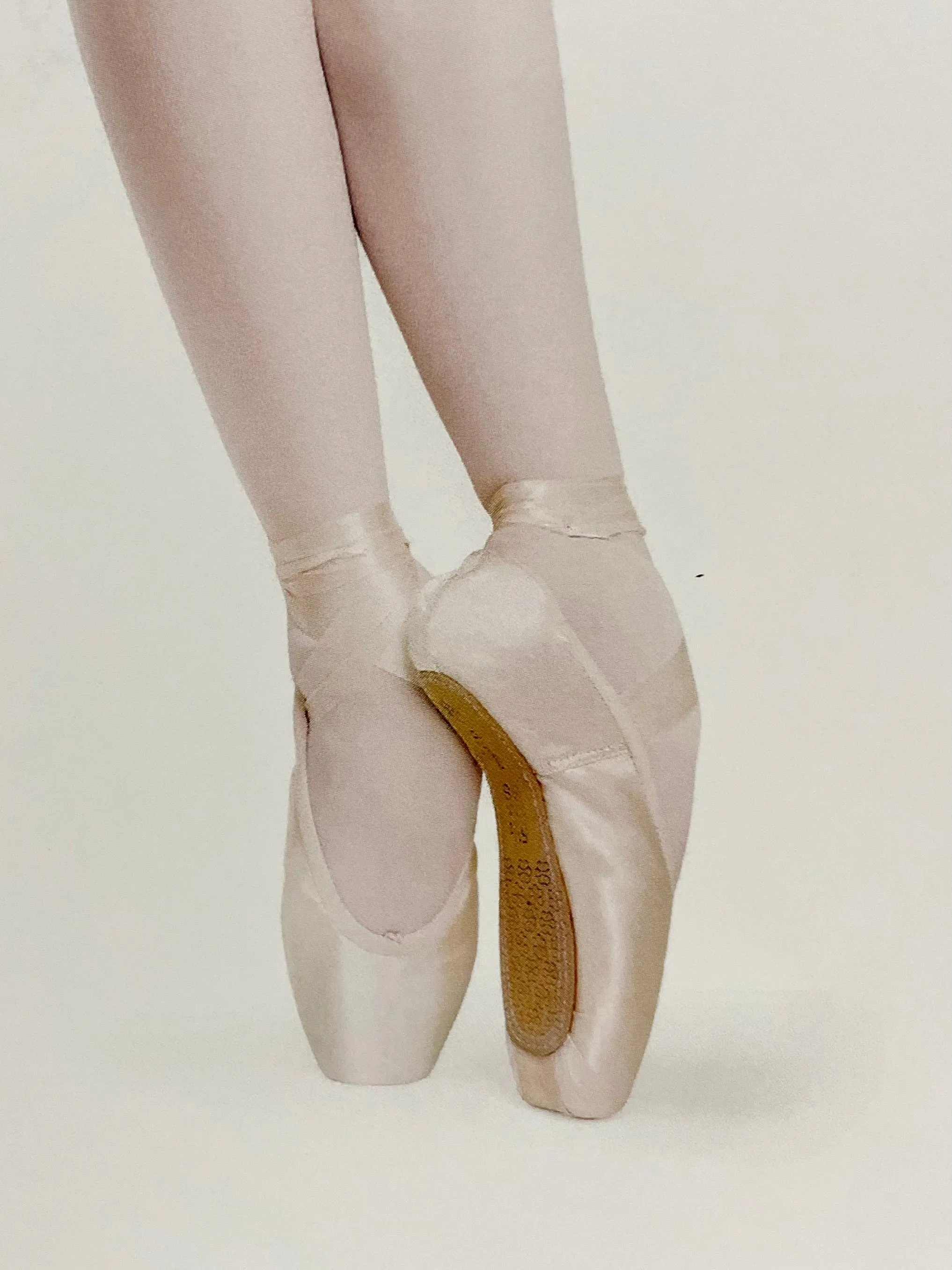 Virtisse Violette